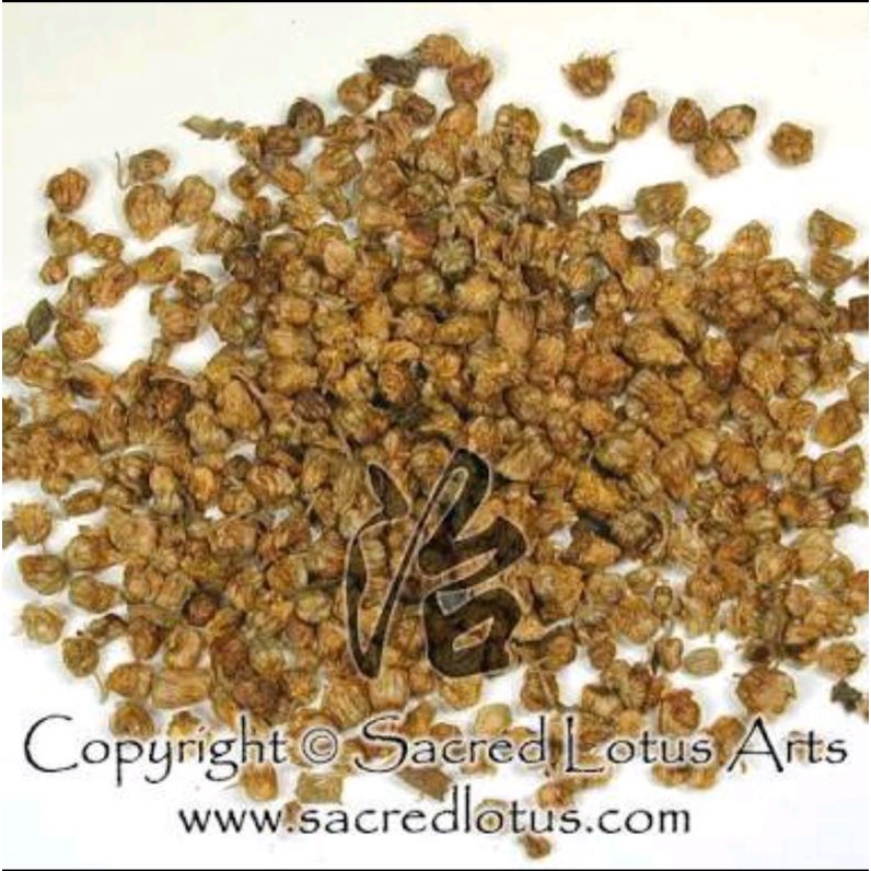 

300 G GR GRAM 野甘菊花 YE GAN JU HUA TEH BUNGA WILD CHRYSANTHEMUM FLOWER TEA CHINESE LITTLE CHAMOMILE