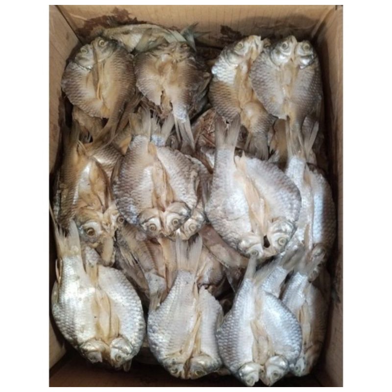 

Asin Tawes sedang 1kg enak