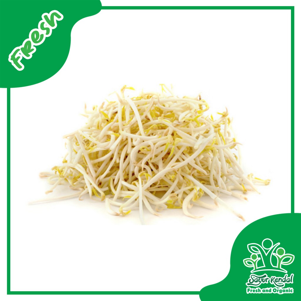 

Tauge / Toge - Sayur Kendal
