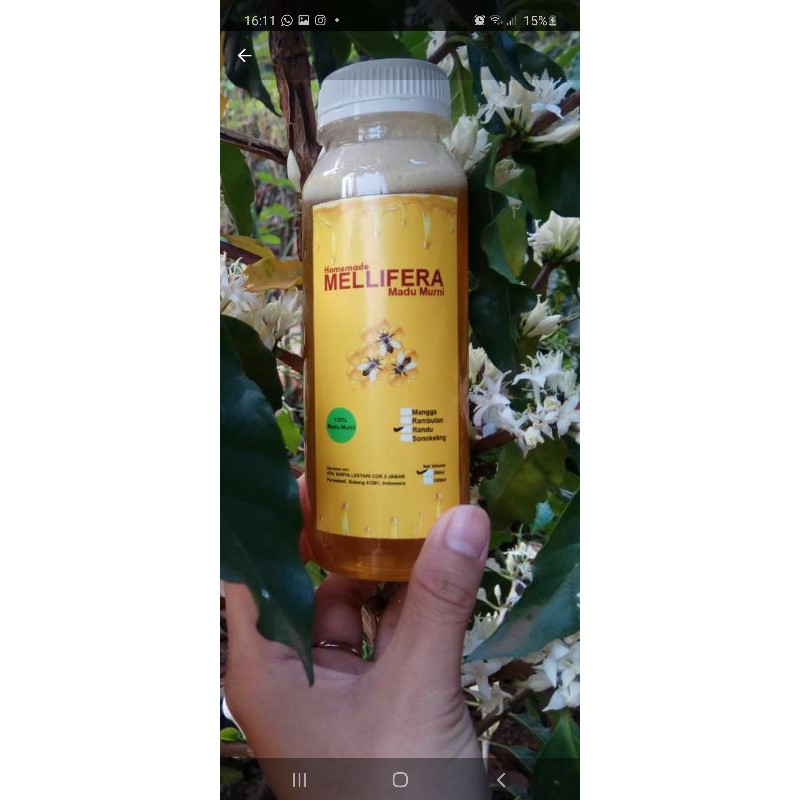 

Madu Asli bunga Randu 250ml