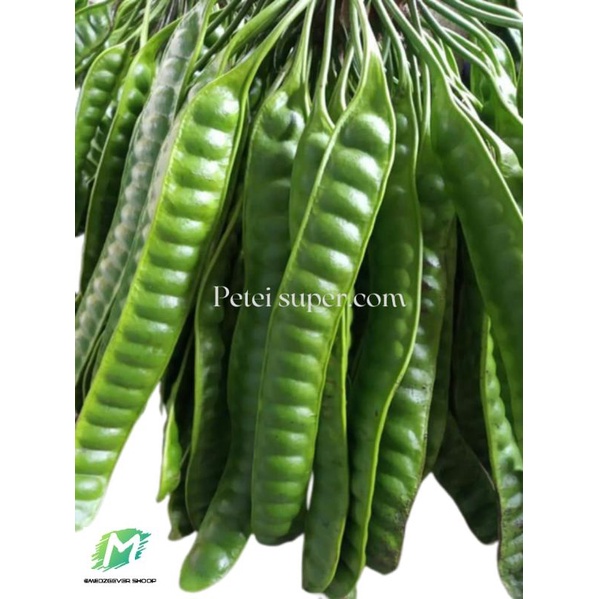 

petai super/pete segar