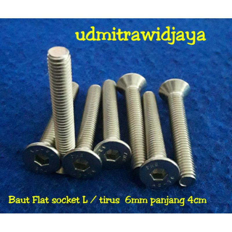 Baut speaker M6 stainless baut mur cakar 6mm baut box speaker baut tirus verseng ss flat socket L