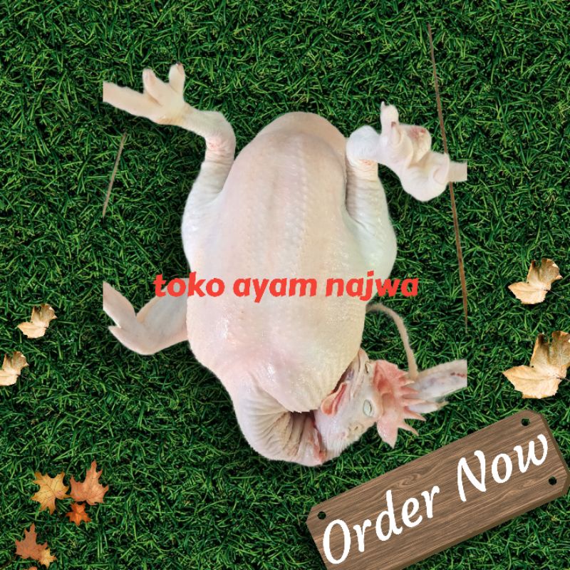

Ayam peren 4 kg