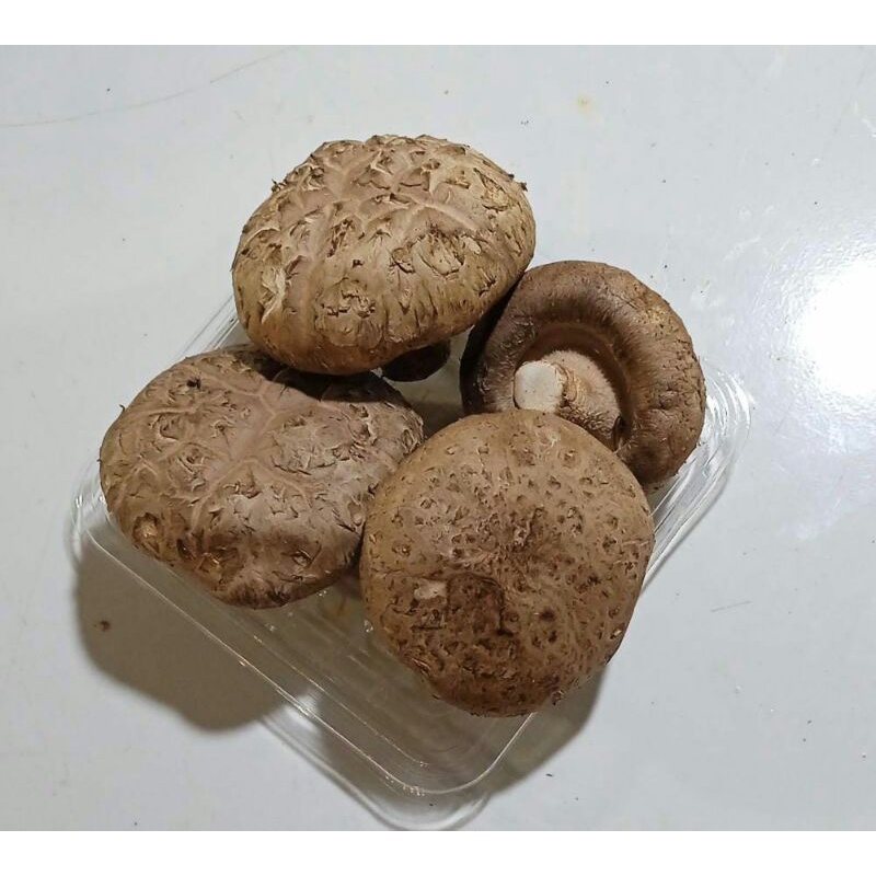 Jamur shitake fresh / 100 gram