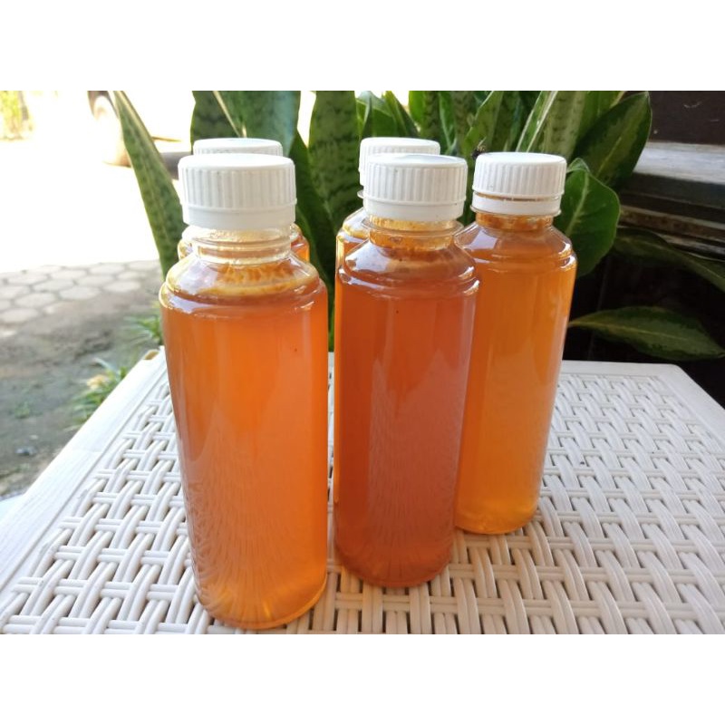 

MADU LEBAH ASLI DARI HUTAN BAKAU KALTENG