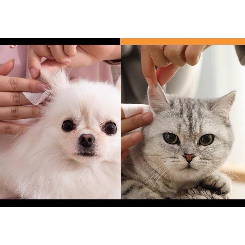 Tisu Basah Pembersih Noda Mata Atau Telinga Kucing Dan Anjing  Eye Wipes | Ear Wipes