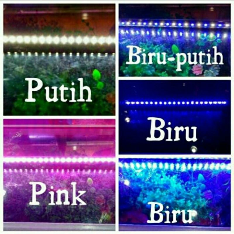 LAMPU CELUP AQUARIUM LED AQUASCAPE 30 CM