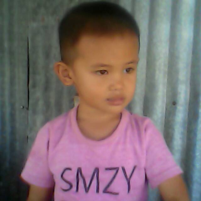 amir2012