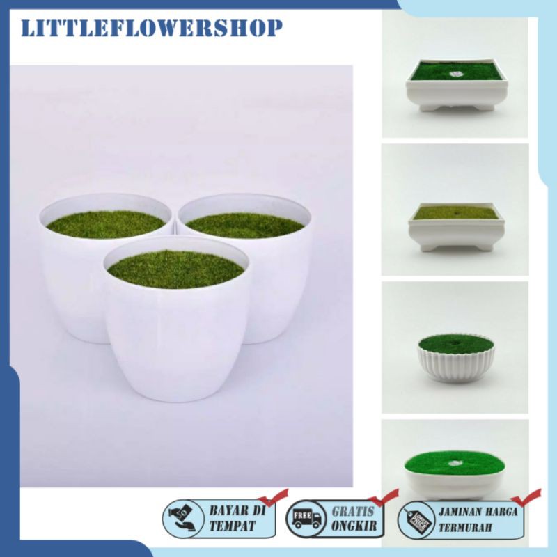 POT BULAT PUTIH POT SET BUSA POT PLASTIK BULAT POT PLASTIK MURAH POT IMPORT PB5016-BULAT