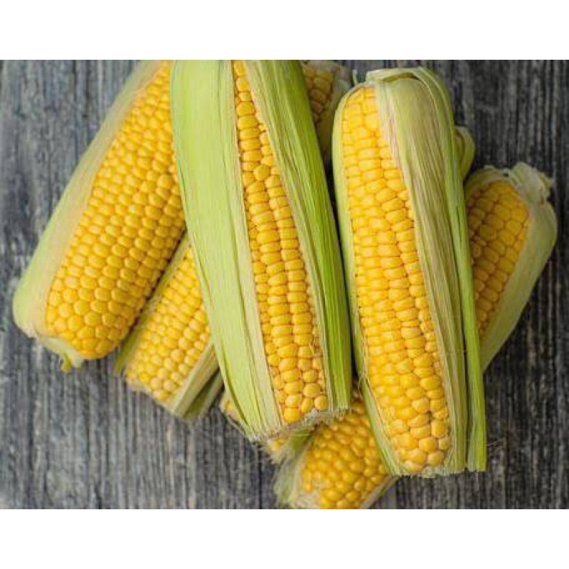 

Jagung Manis 1 kilo (Sayuran Segar)