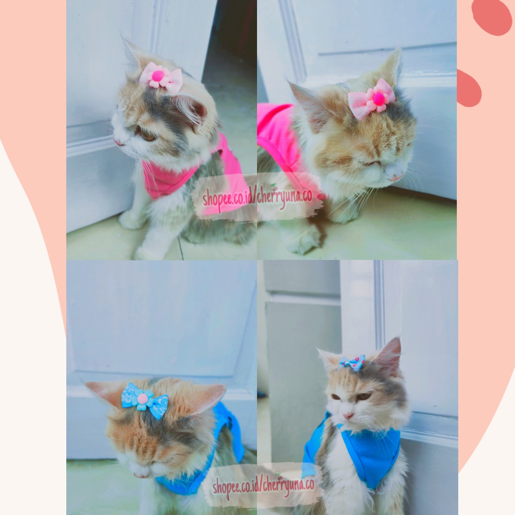 [PET ACCESSORIES] Jepit Rambut Permen Warna Hiasan Kepala Aksesoris Rambut