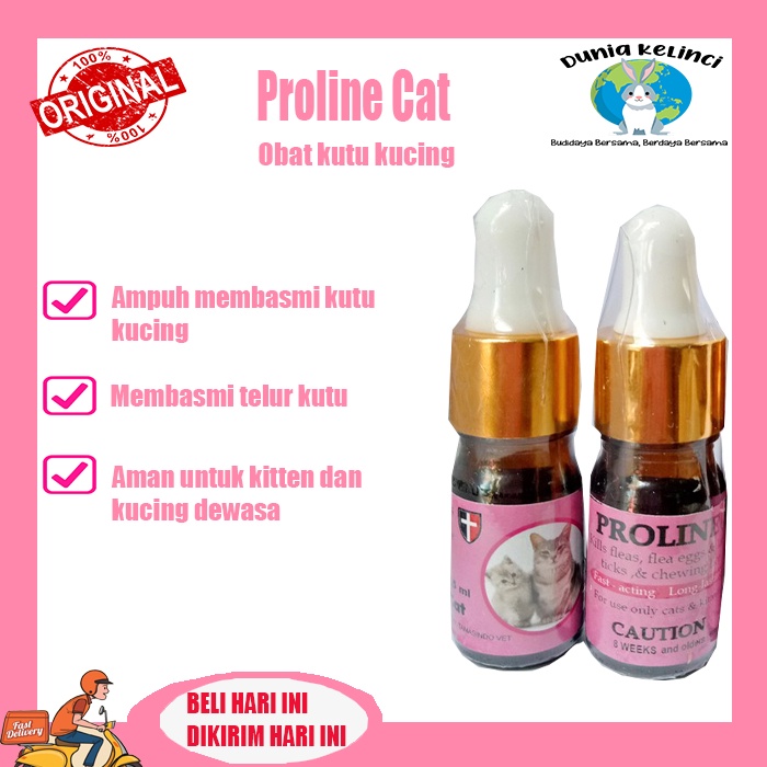 Obat Kutu Kucing Proline Cat Pembasmi Telur Larva Kutu Telur Kutu