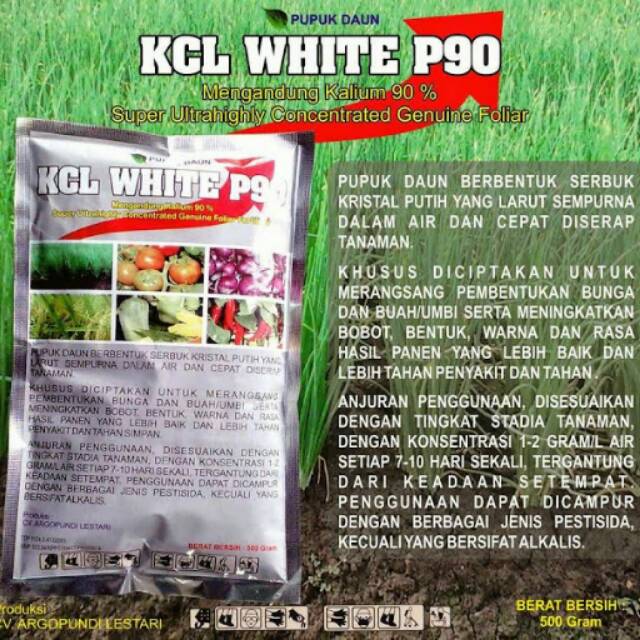 Pupuk KCL White