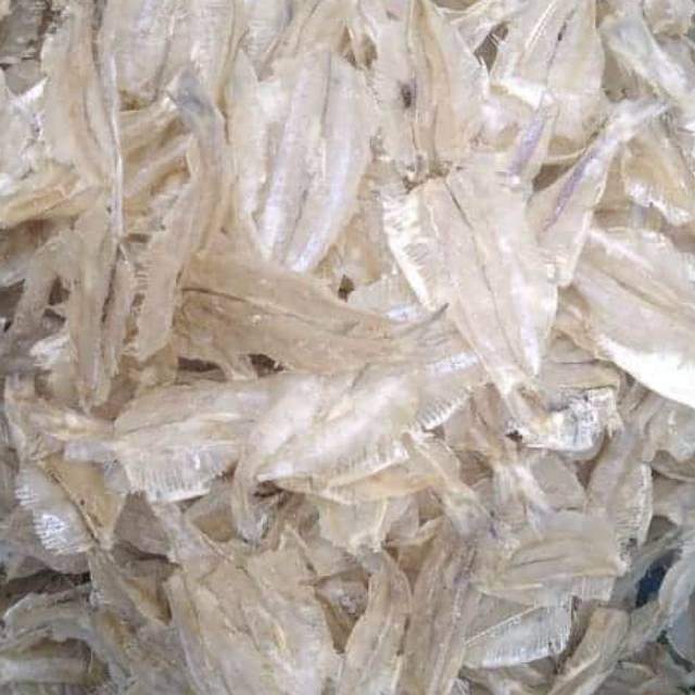 

Ikan pakang pengiriman dari kotabaru Kalimantan selatan