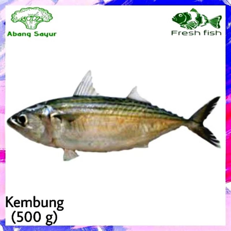 

Ikan Kembung Banjar 500gr
