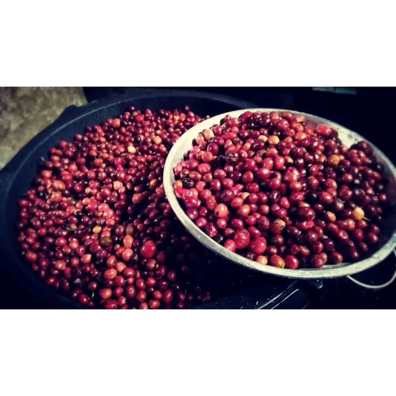 

kopi bubuk petik merah premium