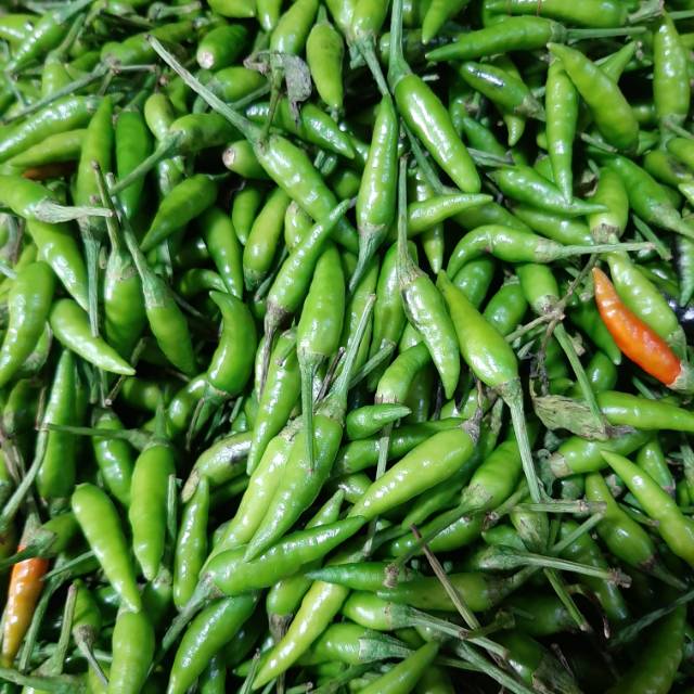 

Rawit hijau caplak 250gr