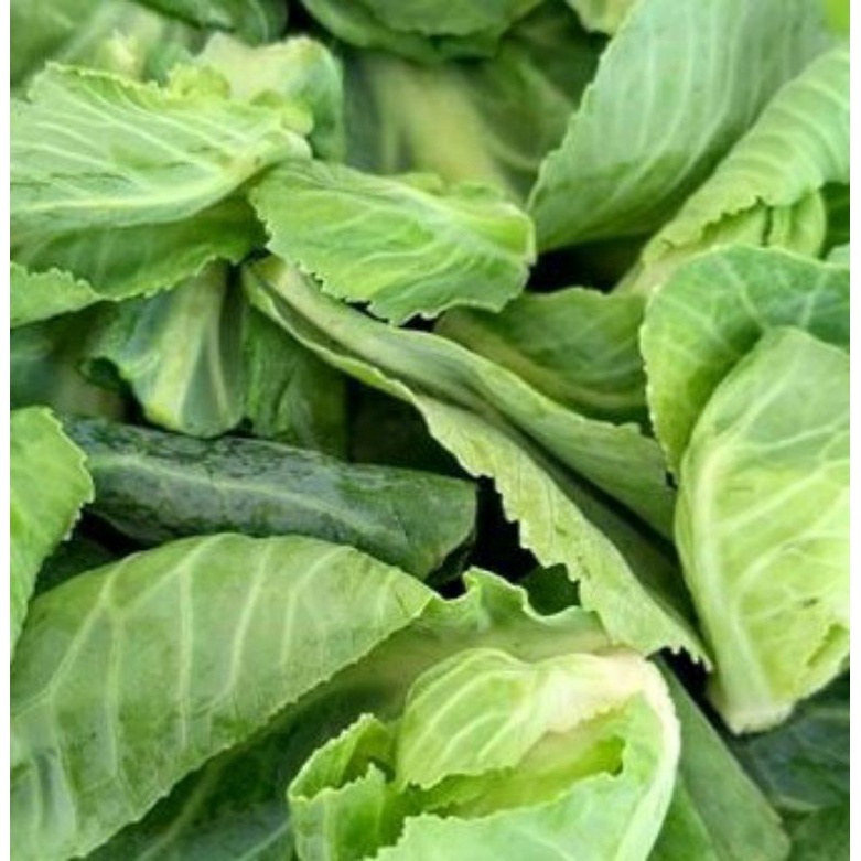 

Ciwis/Cuciwis 500g