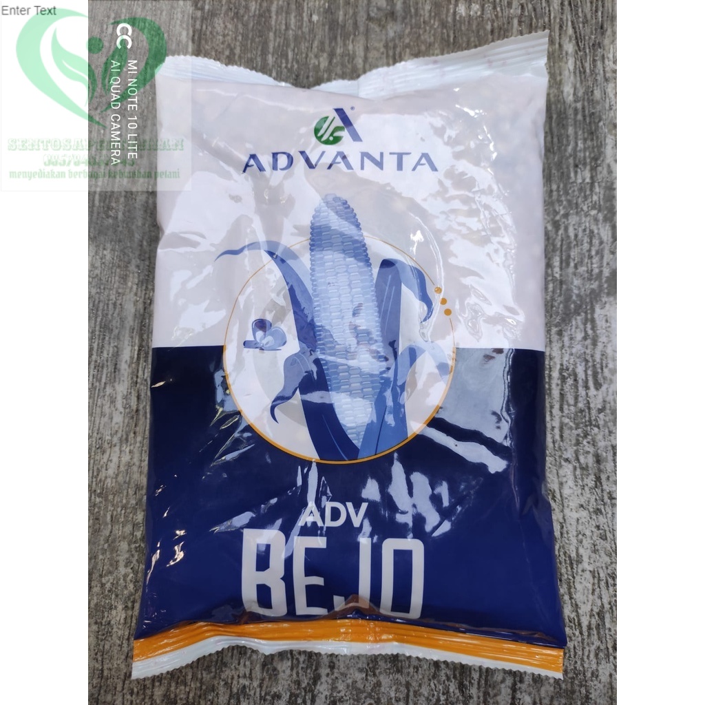 Benih jagung BEJO isi 1kg dari ADVANTA