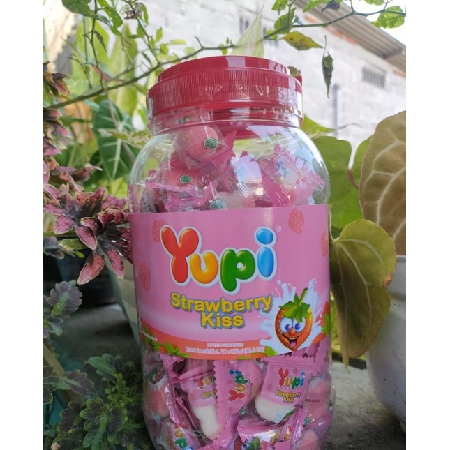 

YUPI TOPLES