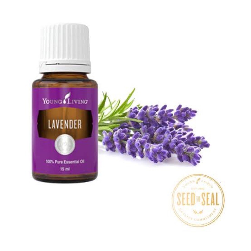 LAVENDER Young Living Essential Oil
