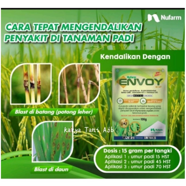 Fungisida ENVOY 80WP 10gr Nufarm