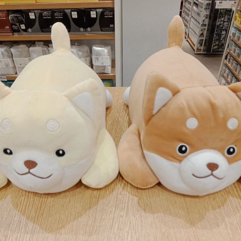 Miniso_lying shiba