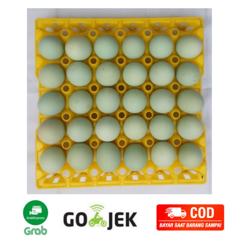 

Telur Itik/ Bebek Fresh