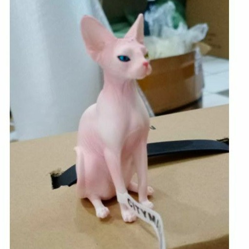 

CITY CAT HAIRLESS WHITE 01562