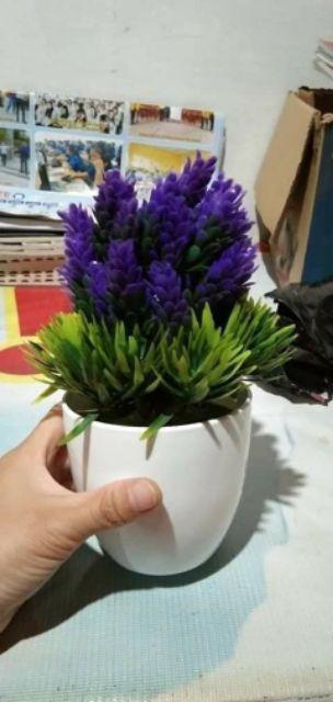 [1kg 11pcs] Pot Tanaman Vas Bunga Varian Pt01-pt04 Dekorasi Rumah Tanaman Plastik Hias Import