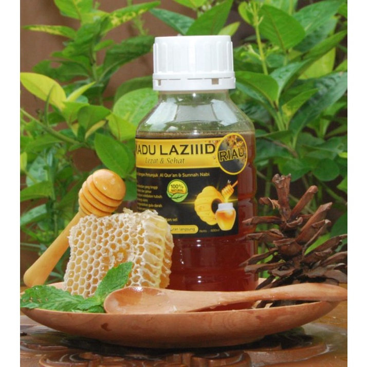 

Madu Hutan Riau (PREMIUM) I Netto 600 Gr I 100% Alami I Teruji Tes Laboratorium I