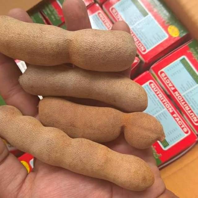 

buah Asem Tamarin 500gr