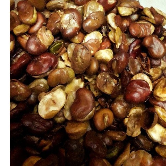 

Kacang koro kulit