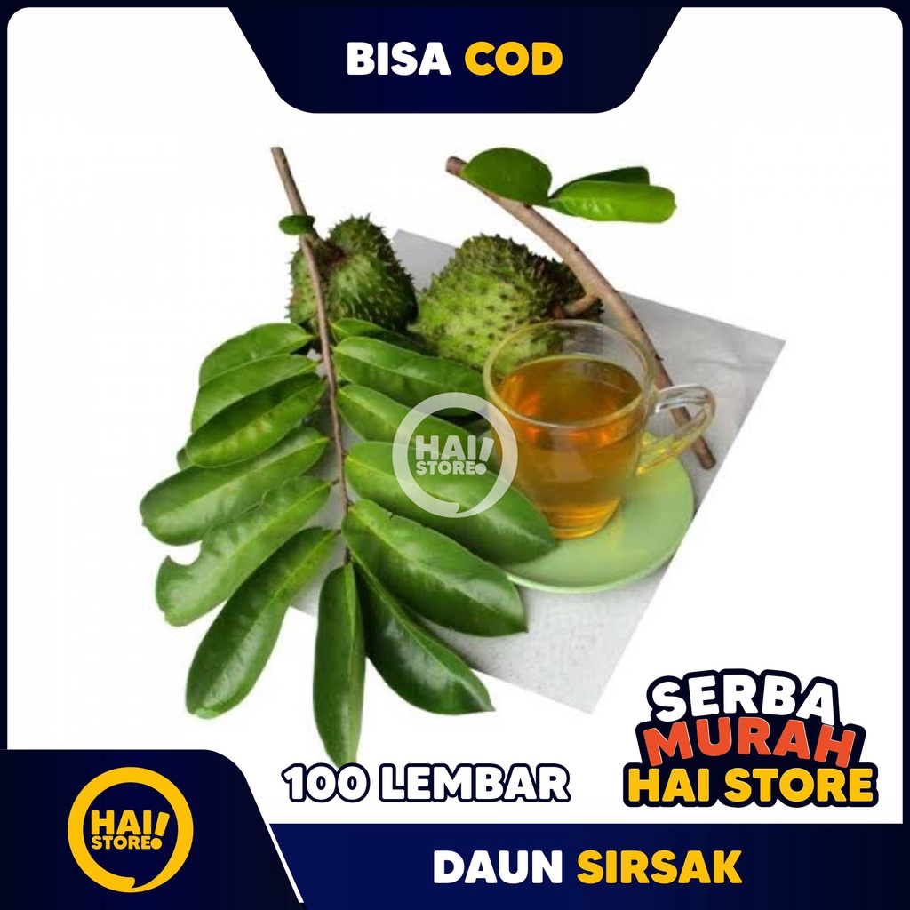 

Daun sirsak 100 lembar anti tumor anti kanker non peptisida asli masih segar fresh dari pohon