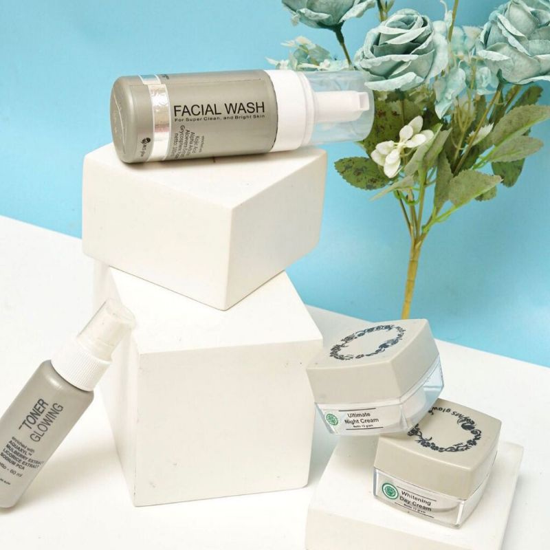 Ms Glow Ultimate Skincare Original Anti Aging Flek Bpom Bumil Busui