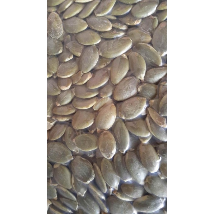 

Pumpkin Seeds Roasted / Biji Labu Panggang / Pepita Oven - 500 Gram