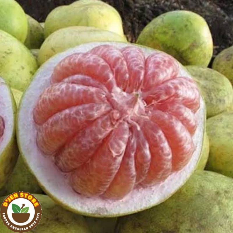 

Buah Jeruk Pamelo Pati
