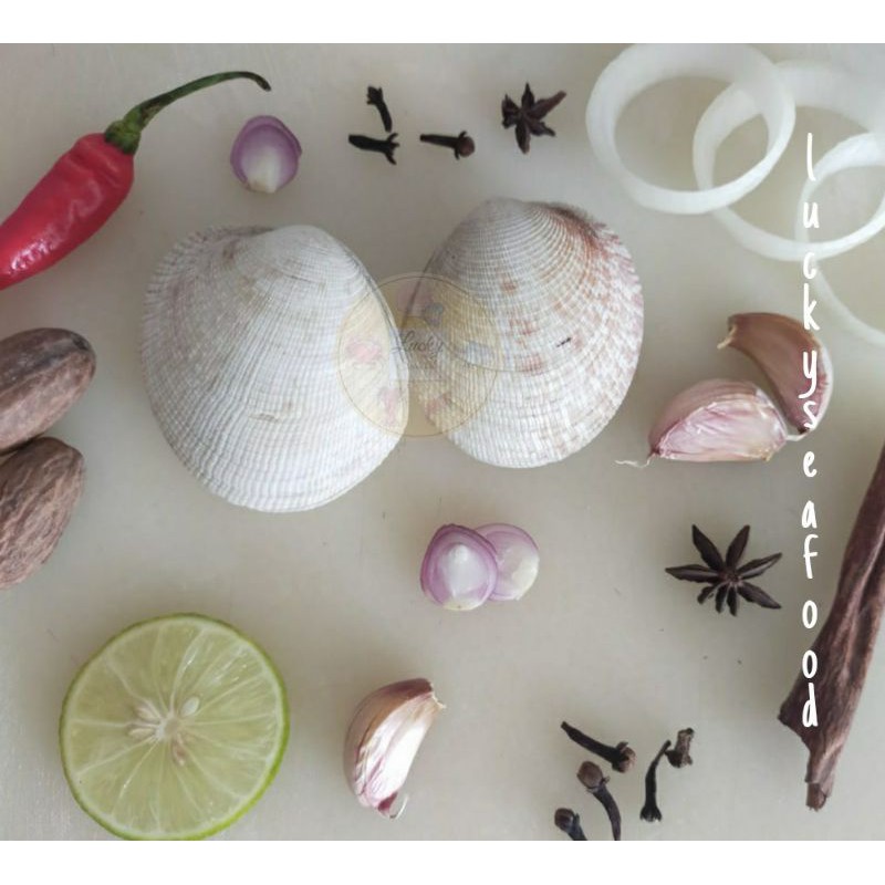 

Kerang madu live 1000 gram