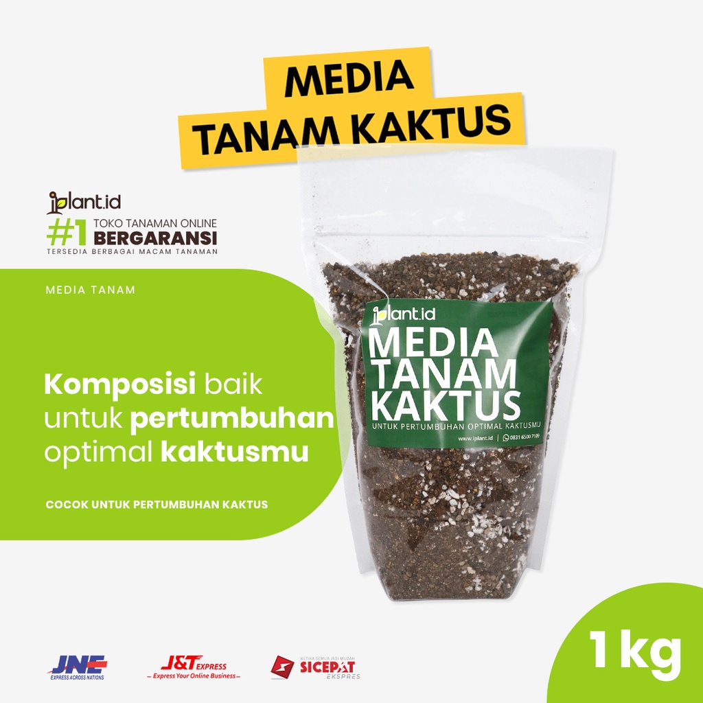 Media Tanam Kaktus iPlant  - Cocok untuk Sukulen, Lithops, Cactus, Kaktus Mini dan Kaktus dll