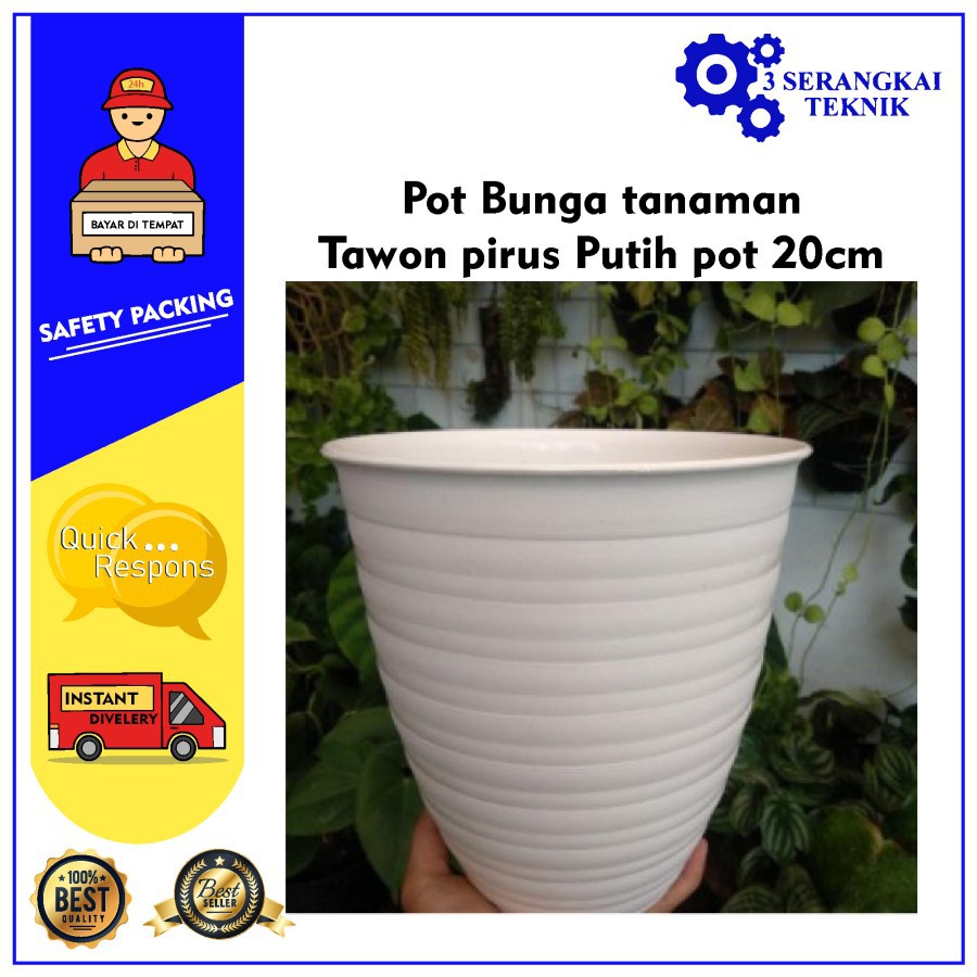 Pot Tawon pirus Putih 20cm