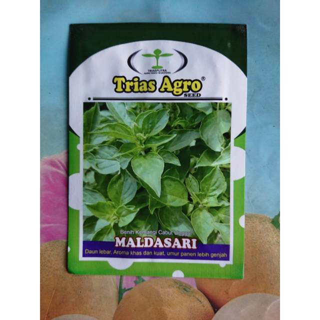 Benih Bibit Kemangi Unggul MALDASARI 10gr