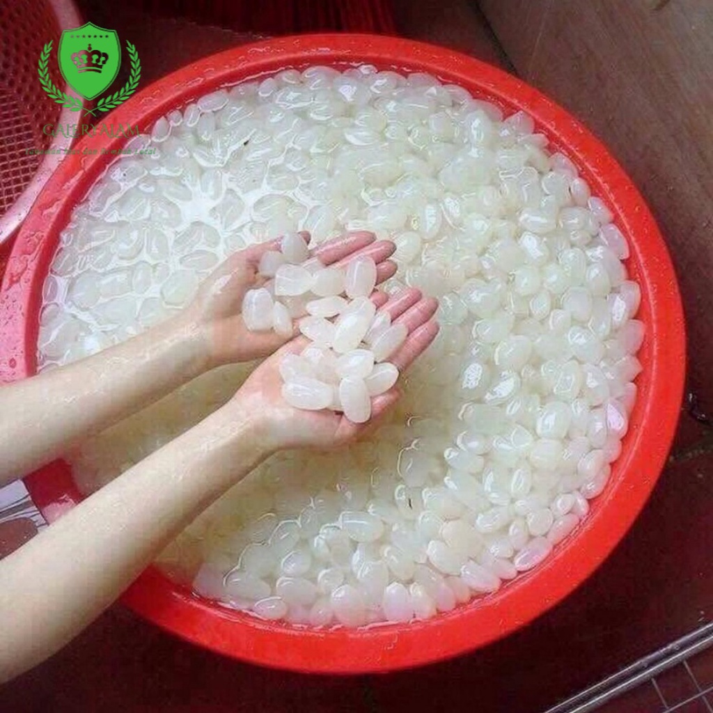 

Kolang Kaling Mentah 1Kg