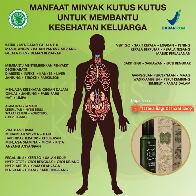 Kutus Minyak Balur 100 ml/minyak Kutus kutus ORIGINAL