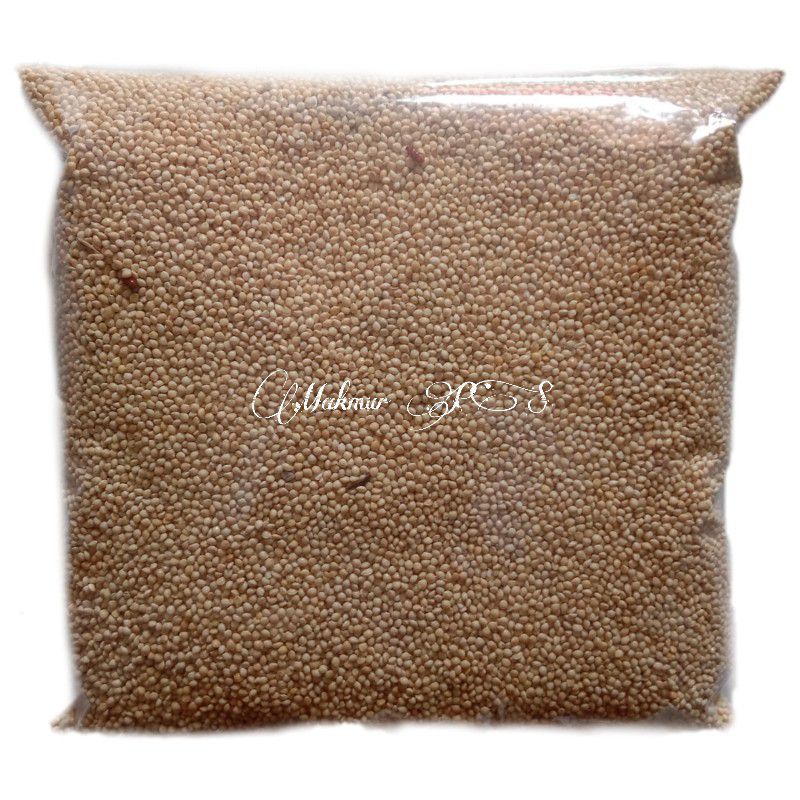 Miled Putih Pakan Burung Lovebird Fich