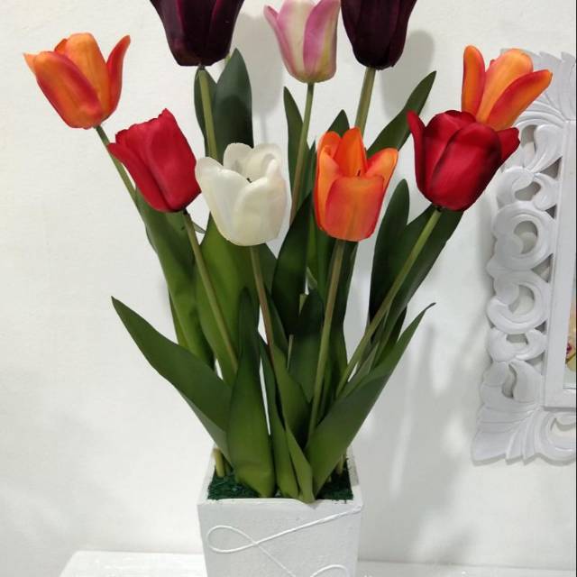 Tulip artificial