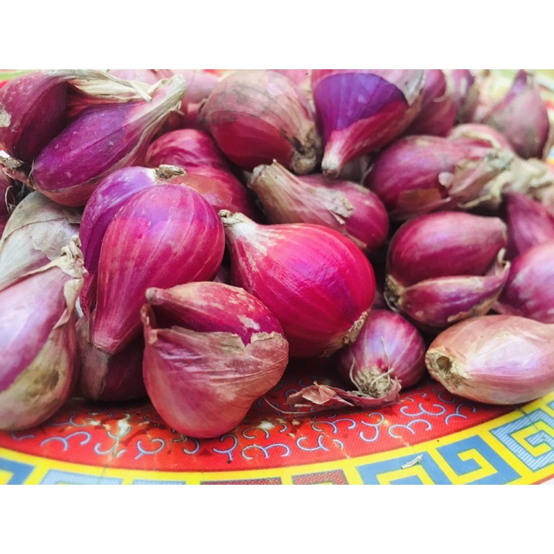 

BAWANG MERAH