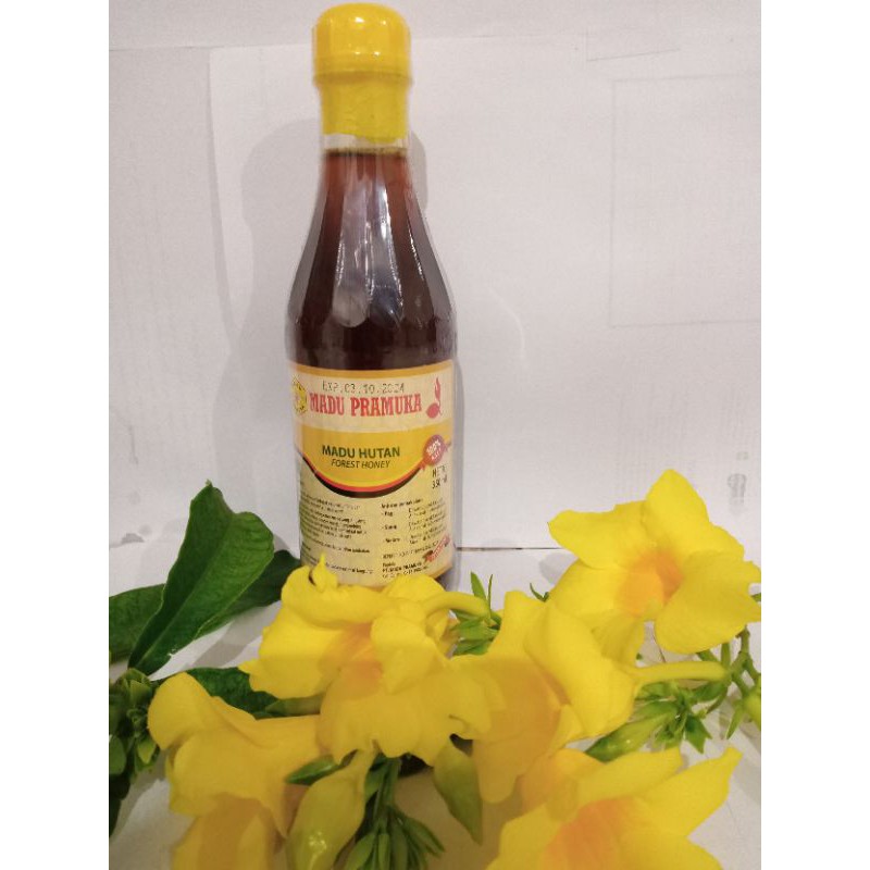 

Madu Hutan Asli Pramuka 350 Ml