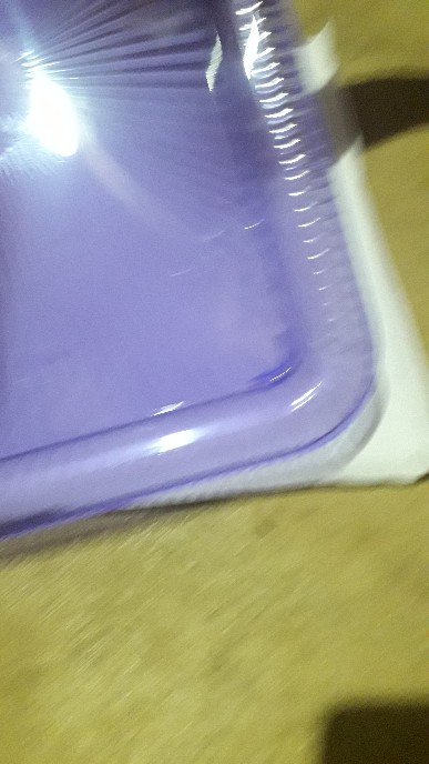 Toples Kue Kering / Toples Tempat Kue Lebaran Natal Imlek / Toples Sakura Genki Market