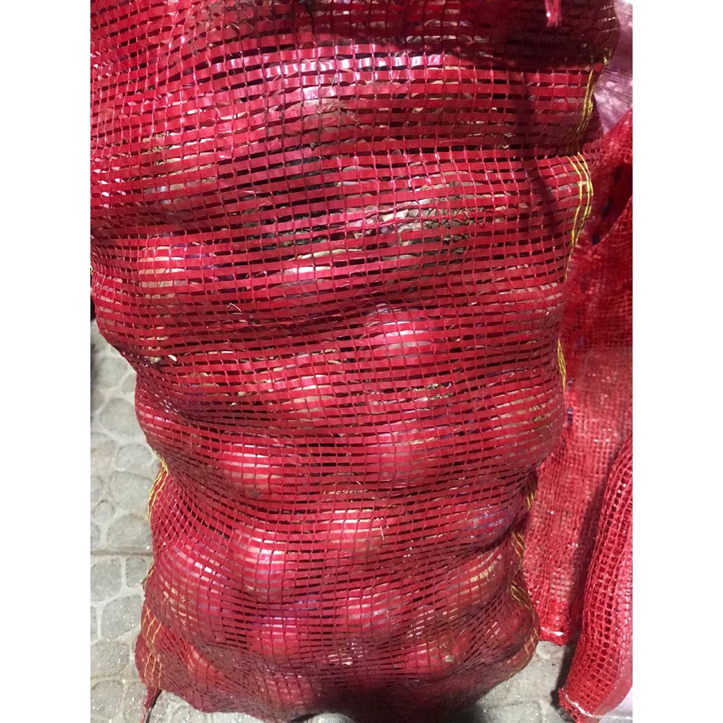 BAWANG MERAH INDIA 1 KARUNG