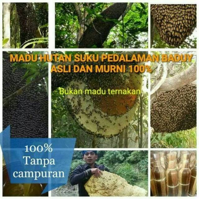 Madu Asli dan murni